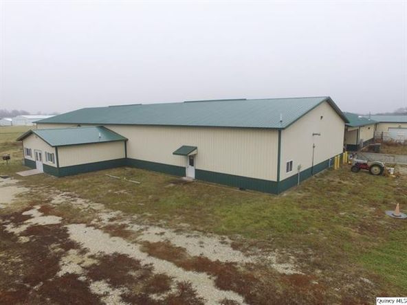 Big River Fish Corporation: 30402 State Highway 107, Griggsville, IL 62340